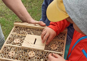 Chłopiec umieszcza jajeczko w domku dla pszczół. Nauczyciel trzyma hotel dla pszczół.