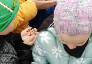 Dzieci mają w rękach jajeczka pszczół.