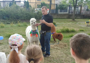 Pan stoi z białą alpaką. Dzieci słuchają co do nich mówi.